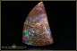 Preview: Koroit Matrix Boulder Opal - 20,12ct