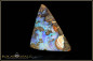 Preview: Winton Boulder Opal - 19,22ct