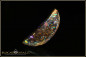 Preview: Koroit Boulder Opal - 14,08ct