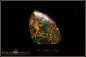 Preview: Koroit Matrix Boulder Opal - 14,66ct