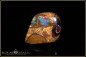 Preview: Yowah Boulder Opal mit opalisiertem Holz - 24,40ct