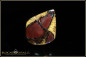 Preview: Yowah Boulder Opal mit opalisiertem Holz - 24,40ct