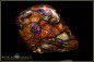 Preview: Koroit Boulder Opal - 68,30ct