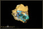 Preview: Yowah Boulder Opal mit opalisiertem Holz poliert im Muttergestein - 31,01ct