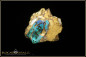 Preview: Yowah Boulder Opal mit opalisiertem Holz poliert im Muttergestein - 31,01ct