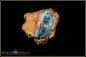 Preview: Yowah Boulder Opal mit opalisiertem Holz poliert im Muttergestein - 31,01ct