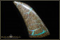 Preview: Winton Boulder Opal - 43,23ct