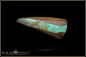 Preview: Jundah opalisiertes Holz Boulder Opal - 15,89ct