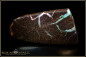 Preview: Winton Boulder Opal - 46,67ct