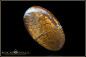 Preview: Winton Boulder Opal - 35,95ct