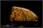 Preview: Koroit Boulder Opal - 51,77ct