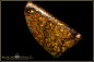 Preview: Koroit Boulder Opal - 51,77ct