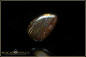 Preview: Opalton Matrix Boulder Opal - 19,55ct