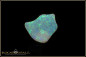 Preview: Brasilianischer Kristallopal - 3,59ct