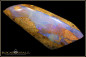 Preview: Jundah opalisiertes Holz Boulder Opal - 71,39ct