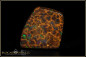 Preview: Koroit Matrix Boulder Opal - 29,66ct