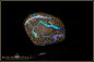 Preview: Winton Boulder Opal 21,07ct