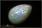 Preview: Riesiger Welo Pinfire Opaltropfen Cabochon - 24,30ct