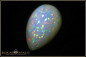 Preview: Riesiger Welo Pinfire Opaltropfen Cabochon - 24,30ct