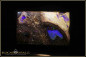 Preview: Jundah opalisiertes Holz Pipe Boulder Opal - 71,47ct
