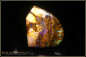 Preview: Koroit Boulder Opal - 29,50ct