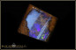 Preview: Quilpie Boulder Opal - 38,30ct