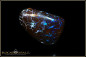 Preview: Winton Matrix Boulder Opal - 43,44ct