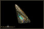 Preview: Winton opalisiertes Holz Boulder Opal - 9,21ct