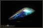 Preview: Quilpie Boulder Opal - 12,10ct