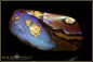 Preview: Yowah Boulder Opal - 58,70ct