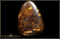 Preview: Yowah Boulder Opal - 62,50ct