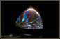 Preview: Winton Matrix Boulder Opal - 37,24ct