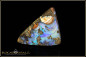 Preview: Winton Boulder Opal - 19,22ct