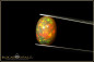 Preview: Welo Opal Cabochon - 4,35ct