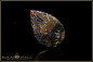 Preview: Koroit Boulder Opal - 12,95ct