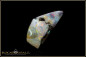 Preview: Winton Boulder Opal - 17,16ct