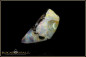 Preview: Winton Boulder Opal - 17,16ct