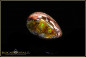 Preview: Mexiko Matrix Opal - 16,00ct