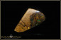 Preview: Yowah Boulder Opal - 18,27ct