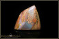 Preview: Jundah opalisiertes Holz Boulder Opal - 15,57ct