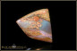 Preview: Jundah opalisiertes Holz Boulder Opal - 15,57ct