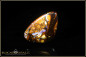 Preview: Yowah Boulder Opal - 21,00ct