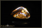 Preview: Yowah Boulder Opal - 21,00ct