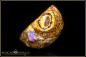 Preview: Yowah Boulder Opal - 29,05ct