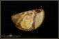 Preview: Yowah Boulder Opal - 29,05ct