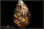 Preview: Koroit Boulder Opal - 29,21ct