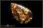 Preview: Koroit Boulder Opal - 29,21ct