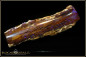 Preview: Lightning Ridge opalisiertes Holz Opal - 31,90ct