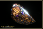 Preview: Yowah Boulder Opal - 43,70ct