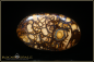 Preview: Koroit Boulder Opal - 51,30ct